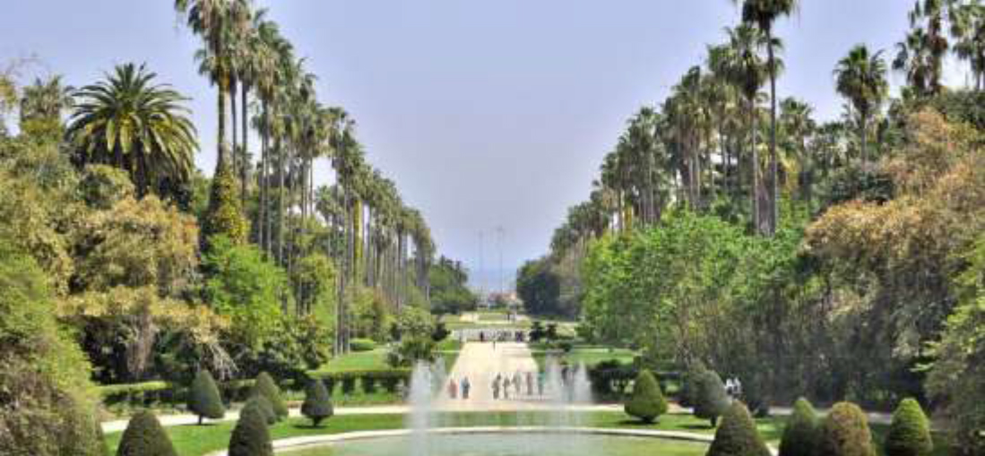 LE JARDIN BOTANIQUE DU HAMMA Image